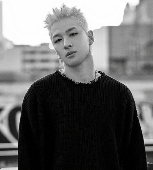 bigbang人员资料,从偶像到巨星的成长之路